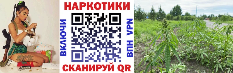 Названия наркотиков Гаджиево ТГК  Cocaine 