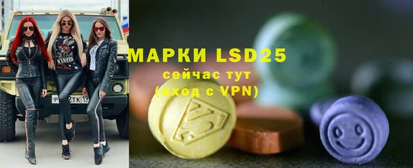 крисы Алзамай