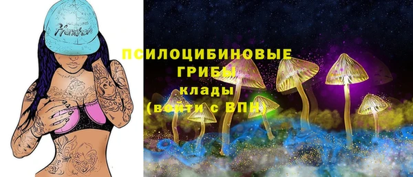 крисы Алзамай