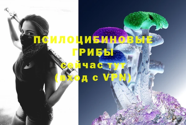 гидропоника Алексеевка
