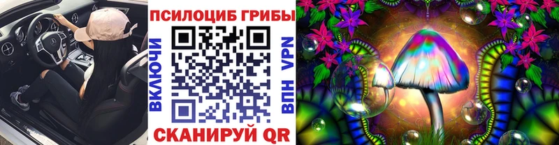 даркнет сайт Гаджиево Псилоцибиновые грибы Cubensis